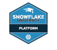 1" Platform Lapel Pin